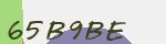 Mã bảo mật